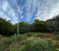 antenne3
