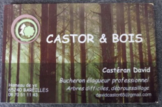 castor-et-bois-Casteran-David-1